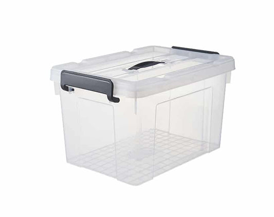 Carry box with handle transparent