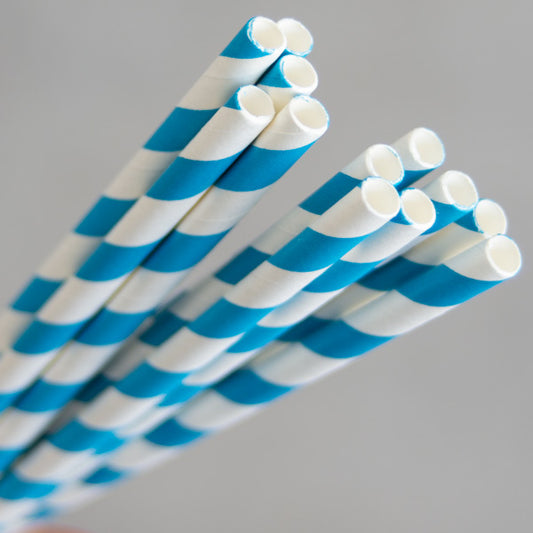 Compostable Straws 250 pk