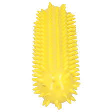 TPR Molar Rod Chewbrush 25x5x4cm