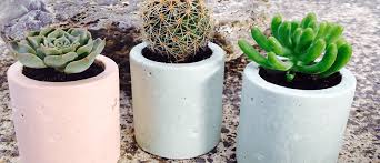 Plaster Pots DIY 6 Asst/3 Paints