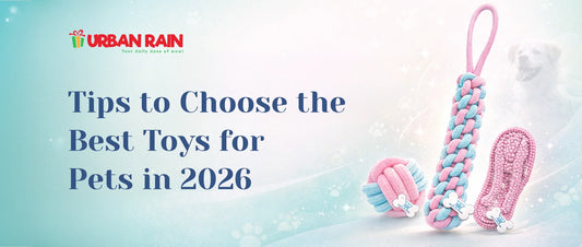 Tips to Choose the Best Toys for Pets in 2026