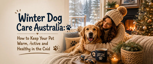 Winter Dog Care in Australia Every Pet Owner Should Know